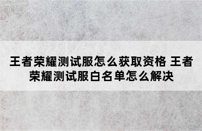 王者荣耀测试服怎么获取资格 王者荣耀测试服白名单怎么解决